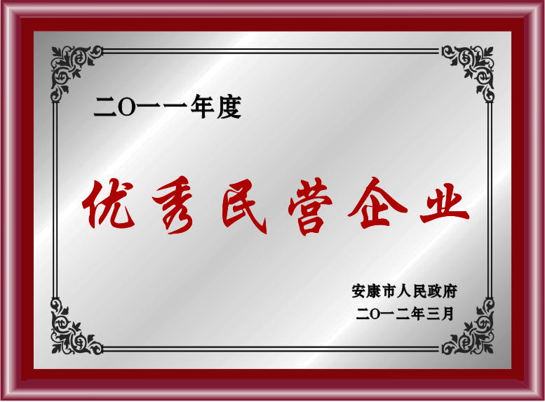 優(yōu)秀民營(yíng)企業(yè) 優(yōu)秀民營(yíng)企業(yè)